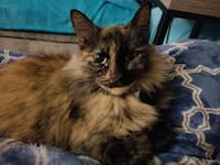 Tina